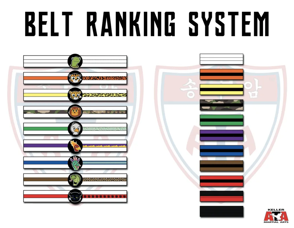 ATA belt ranking system chart showing every color belt and stripe